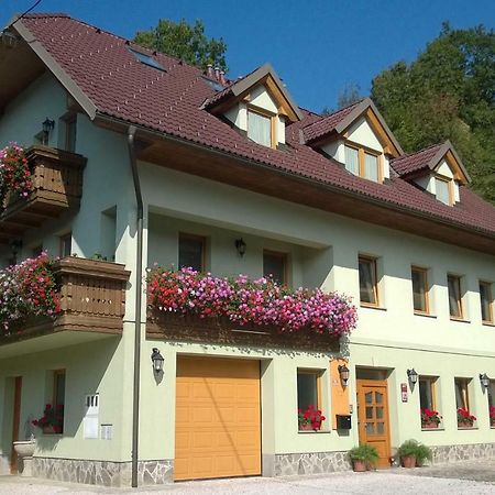 Apartmaji Hribar Pr'Ostank Kamnik Dış mekan fotoğraf
