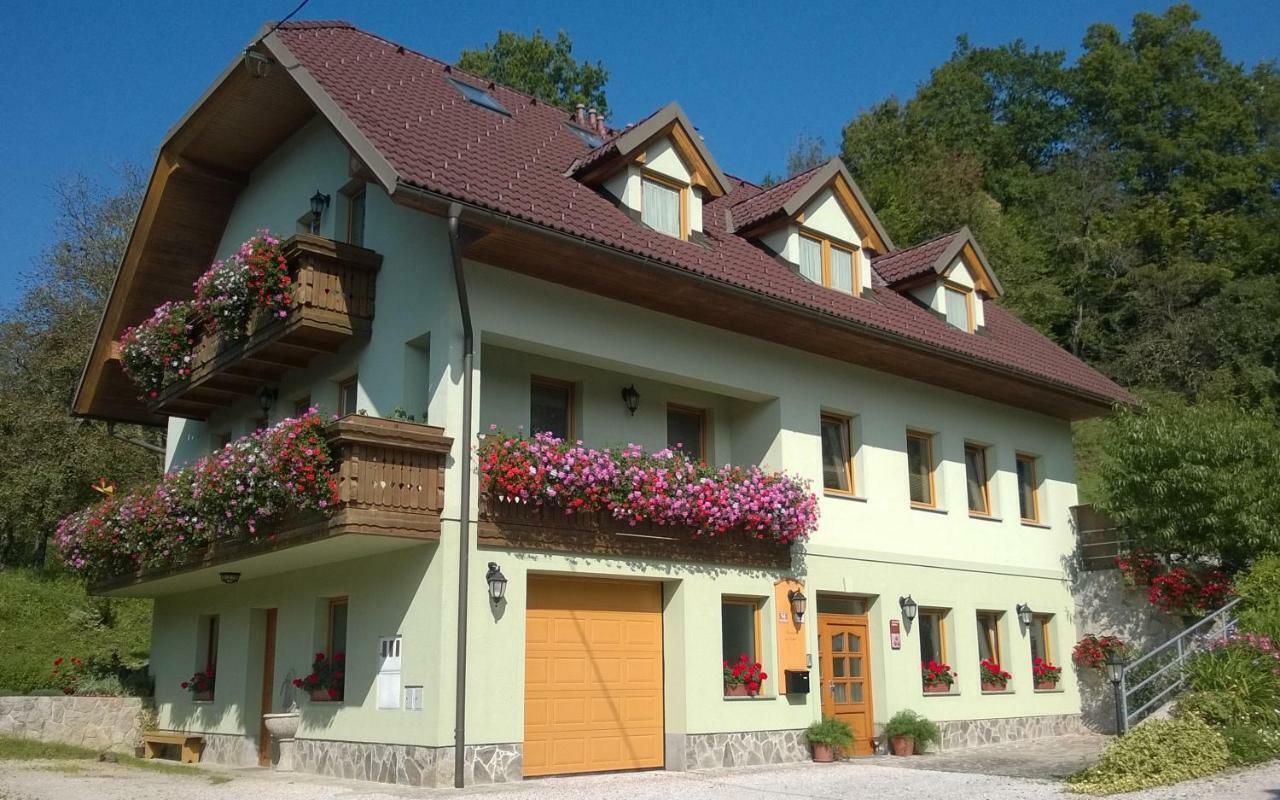 Apartmaji Hribar Pr'Ostank Kamnik Dış mekan fotoğraf