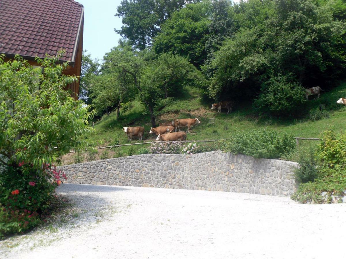 Apartmaji Hribar Pr'Ostank Kamnik Dış mekan fotoğraf