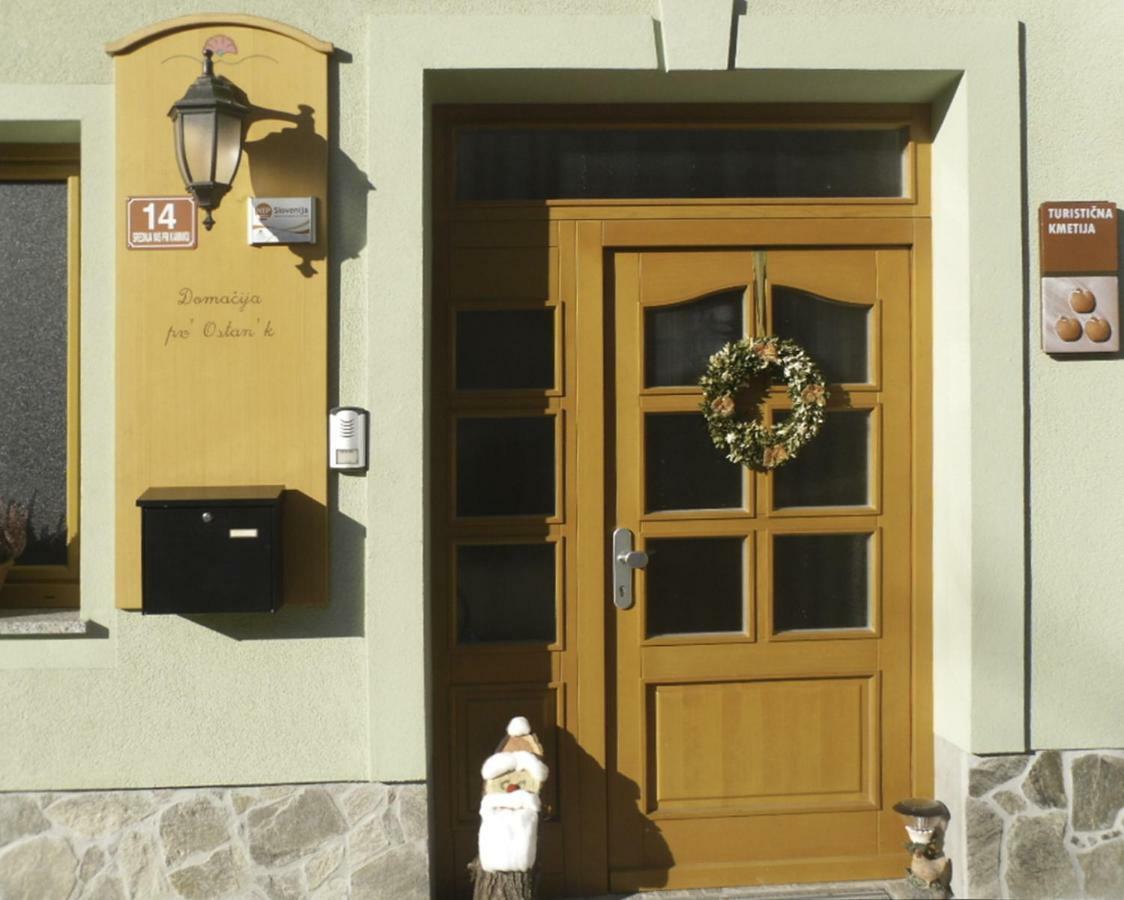 Apartmaji Hribar Pr'Ostank Kamnik Dış mekan fotoğraf